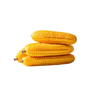 Choclo Amarillo 4 unidades x 2.5 Kg Nelo