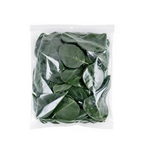 Espinaca 4 unidades x 2.5 Kg Nelo